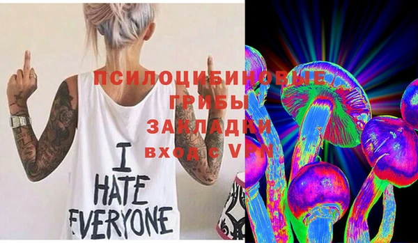 шишки Алексин