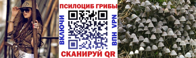 Галлюциногенные грибы мицелий  ОМГ ОМГ как войти  Ветлуга 