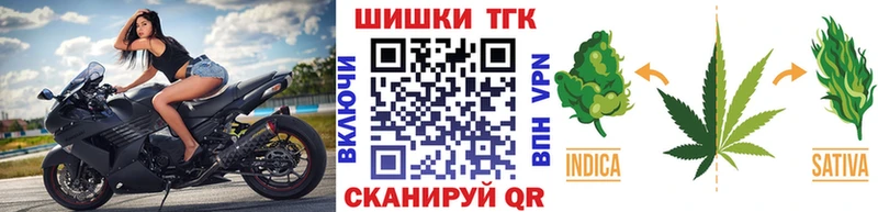 Каннабис SATIVA & INDICA  Ветлуга 